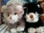 Sonia Profilbild