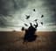 Victress_Virago Profilbild