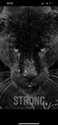 Sarasyr Profilbild